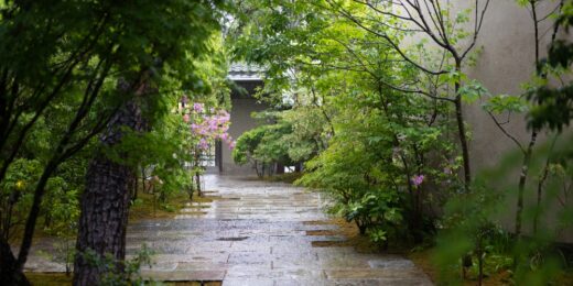 Auberge TOKITOの画像